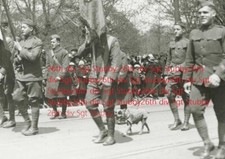 AEF US ww1 26th Yankee Div Aisne Belleau Meuse Argonne Mihiel Marines USMC chien