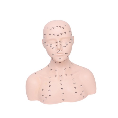 Tête mannequin - tête,