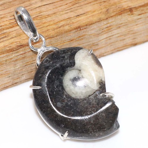 Pendentif fossile ammonite - pendentif,