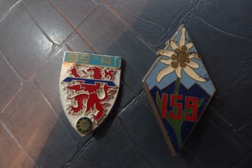 France insignes 99eme ri - insignes, -99eme