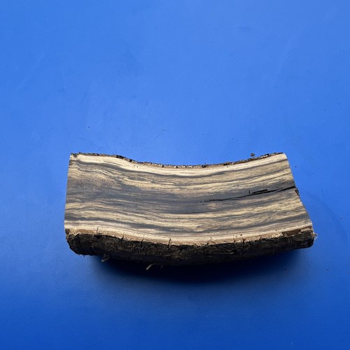 Bois cythise sec - de,