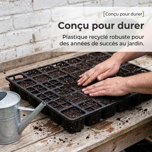 Plateau germination 32 - plateau,