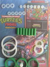 FLIPPER STERN-TEENAGE NINJA