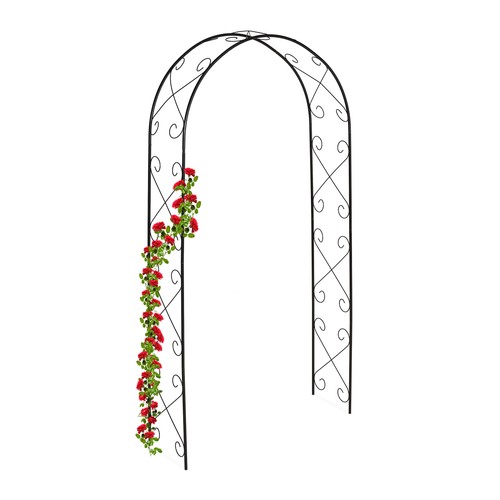 Arche jardin - jardin, rosier