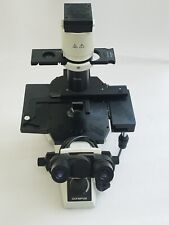 microscope olympus