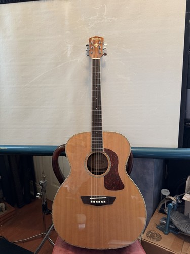 Washburn hg75seg acoustic - hg75seg-o,