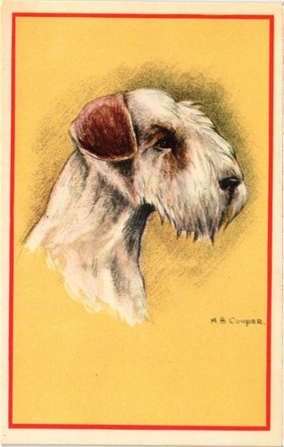Cpa airedale terrier dogs - ak,