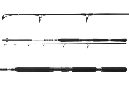 Canne mer daiwa popper - de,