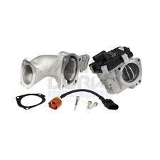 MEAT & DORIA Manchon