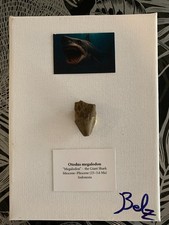 Tableau paléontologique