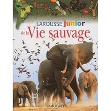Livre Larousse Junior De La