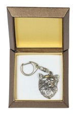 Chihuahua à poil long -