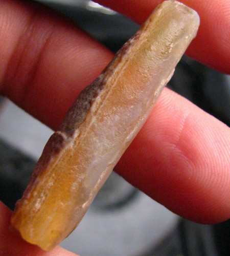 Fossile pipe belemnite - o&co,