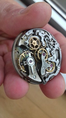 Angelus chronodato 217 - angelus,