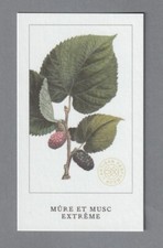 Carte  publicitaire - Mûre et
