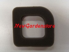 Filtre À Air Pour Taille-Haie
