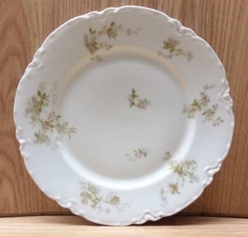 Haviland and limoges - and, co.,
