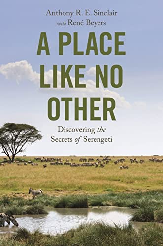 Place like other a - place, no