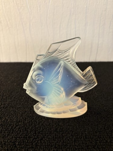 Sabino crystal fish - sabino,