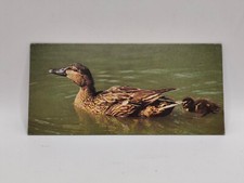 Nestlé MERVEILLES DU MONDE Carte N°186 "le canard"