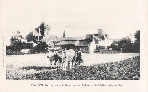Avanton attelage boeufs - 86,