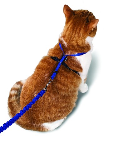 Harnais pour Chats Easy Walk