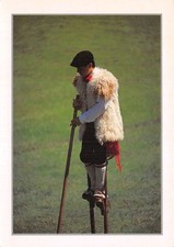 40 COTE LANDAISE ECHASSIER