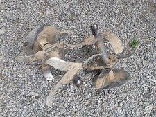 jeu de fraise de motobineuse staub st2640r