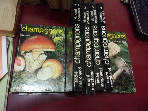 André marchand champignons - andré,
