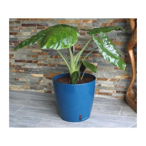 Bac fleurs rond - bac, a