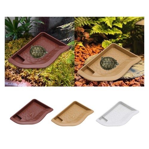 Bassin bain pour tortues - de,
