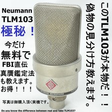 Boîtier du microphone Neumann