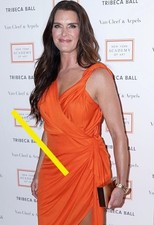 Photo taille au choix BROOKE SHIELDS (237)