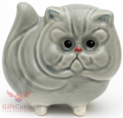British shorthair kitty cat - british,