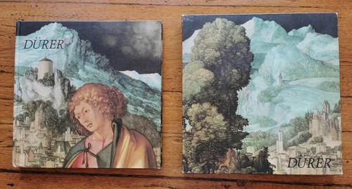 Dürer par simon monneret - simon,