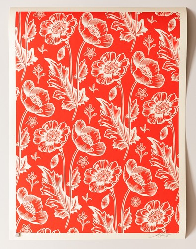 Shepard fairey obey sedation - shepard,