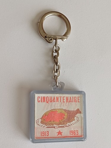 Porte clé visiomatic - clé,