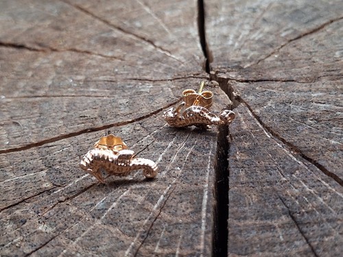 Puces oreilles hippocampes - puces, d'oreilles