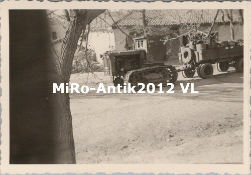 Photo petite chenille tire - photo,,
