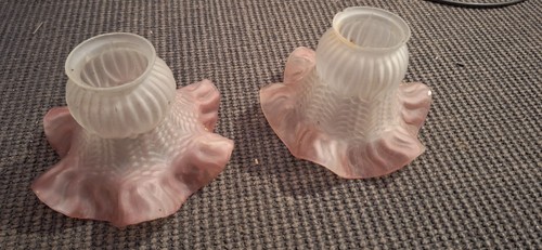 Paire tulipe globe pour lampe - tulipe,