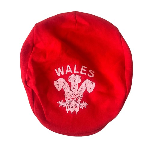 1987 wales rugby union world - 1987,