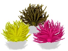 Black Cat Real Worm Teaser 2/0