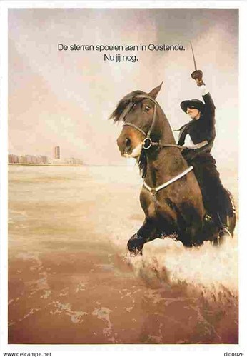 Carte postale animaux - -,