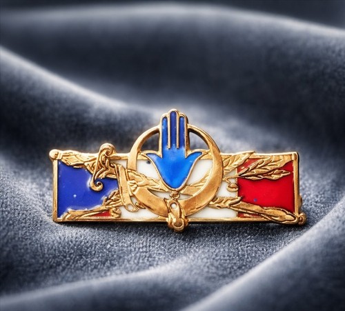 Broche insigne militaire - 66,