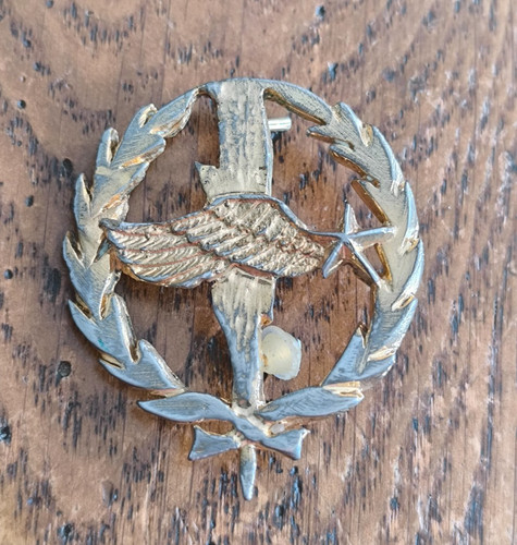 Insigne brevet pilote - insigne,