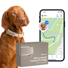 Tractive DOG 6 – Collier GPS