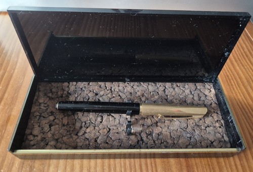 Vintage 1950s waterman - vintage,