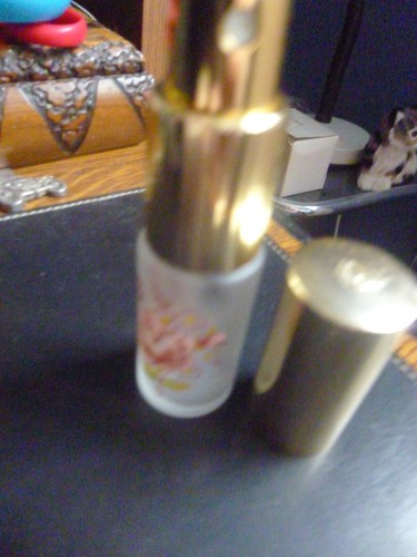 Vaporisateur parfum sac - vaporisateur, de