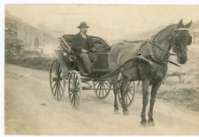 PHOTO PHOTOGRAPHIE, voiture à cheval attelage homme calèche route chemin