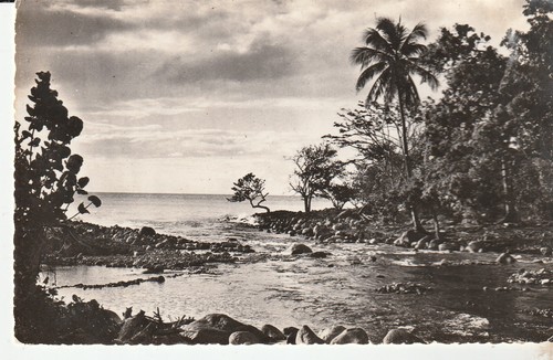 Cpsm guadeloupe baillif - cpsm,